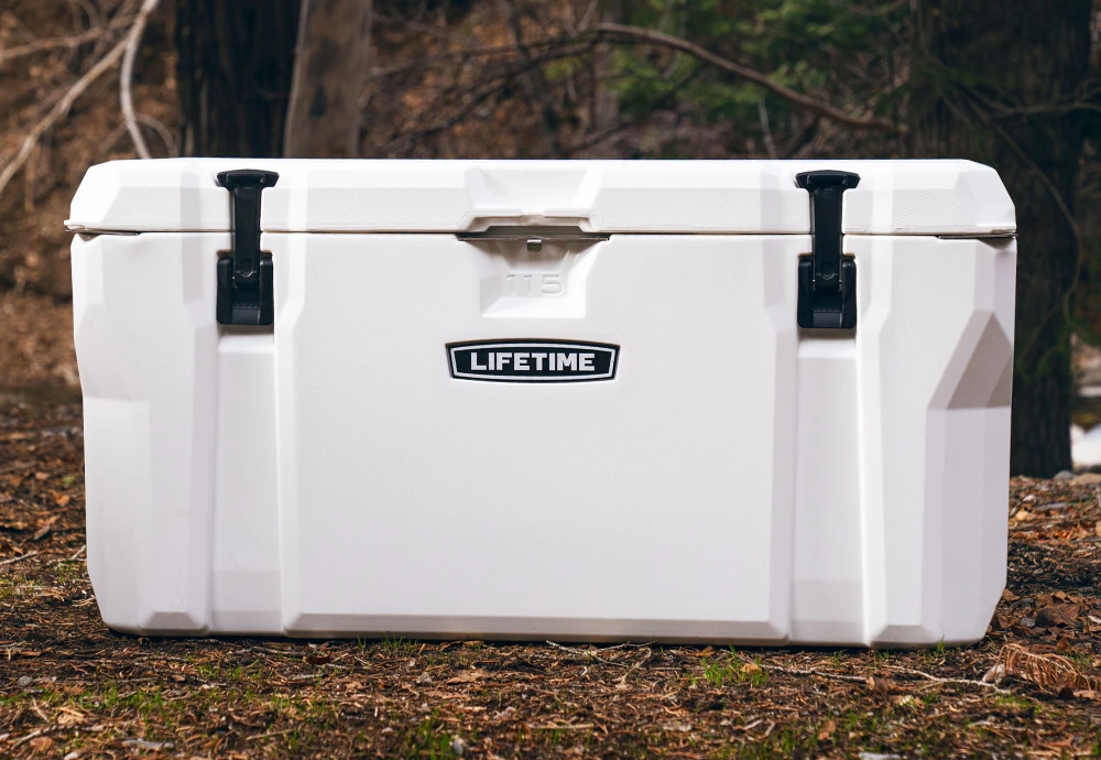 outdoor fridge cooler