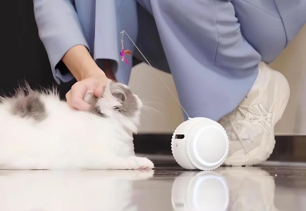 best camera for pets